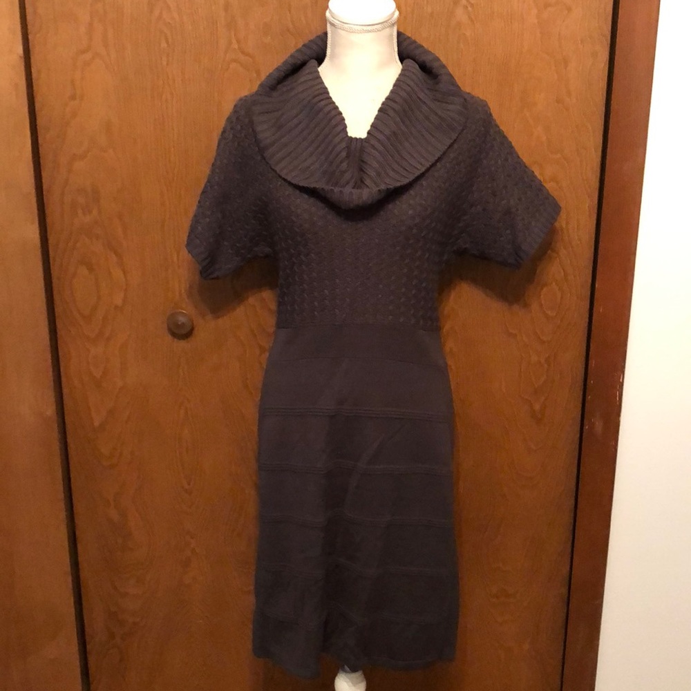 Gray cowl neck sweater dress by the express. Cozy, form fitting around the hips.